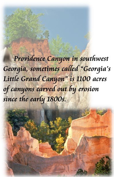 8 providence canyon
