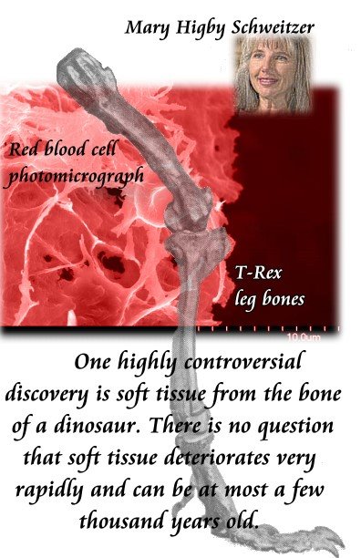 soft tissue dinosaur