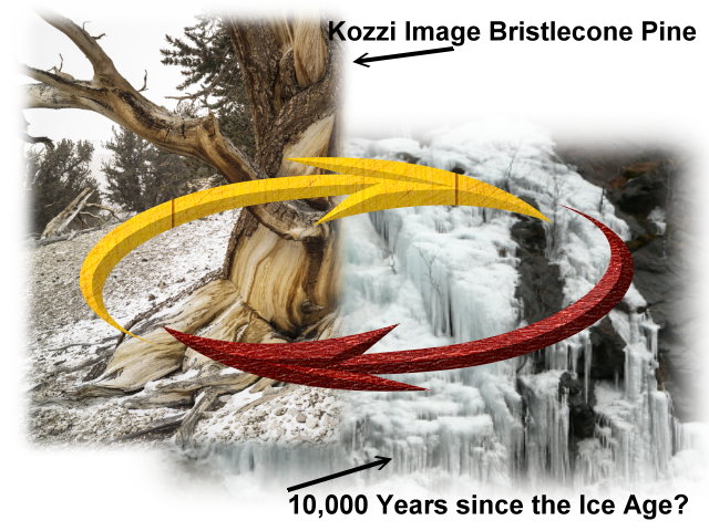 blog post bristlecone and ice age