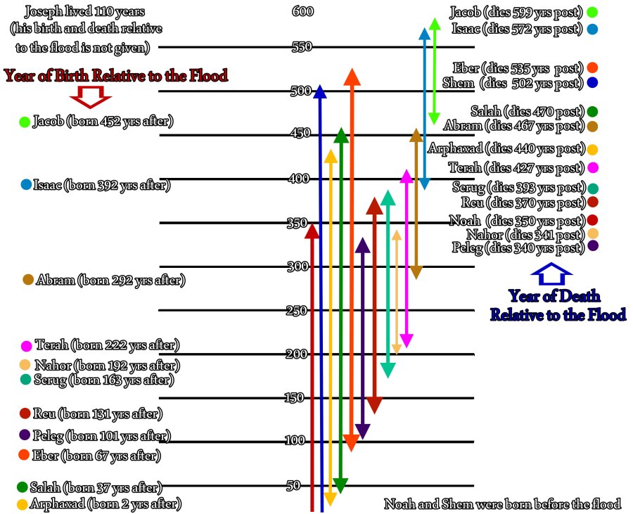 new timeline two sided