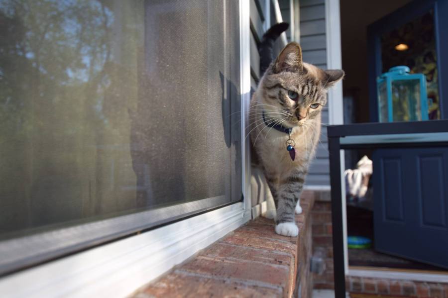 18278861_10158684227070078_2747852211497510637_o