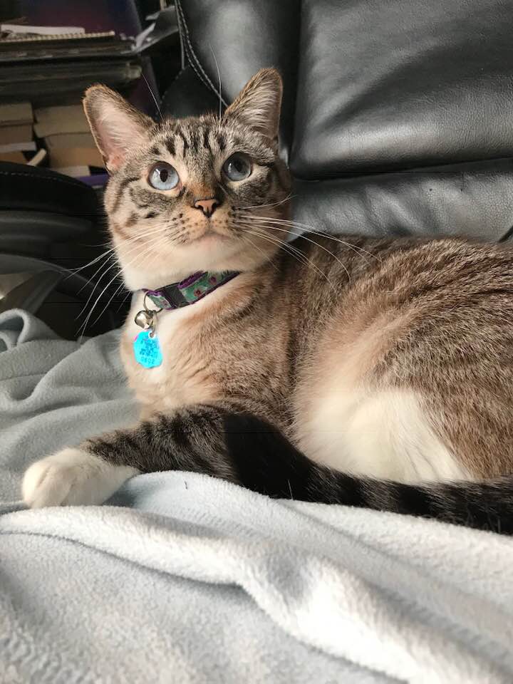 51579255_10161551907685078_5662168898007465984_n